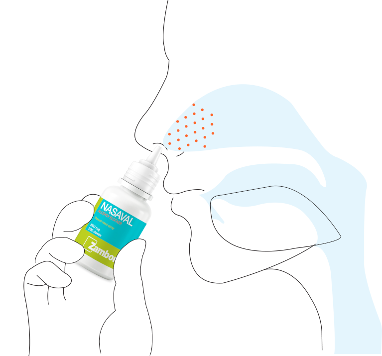 How Nasaval Allergy Blocker Works Diagram