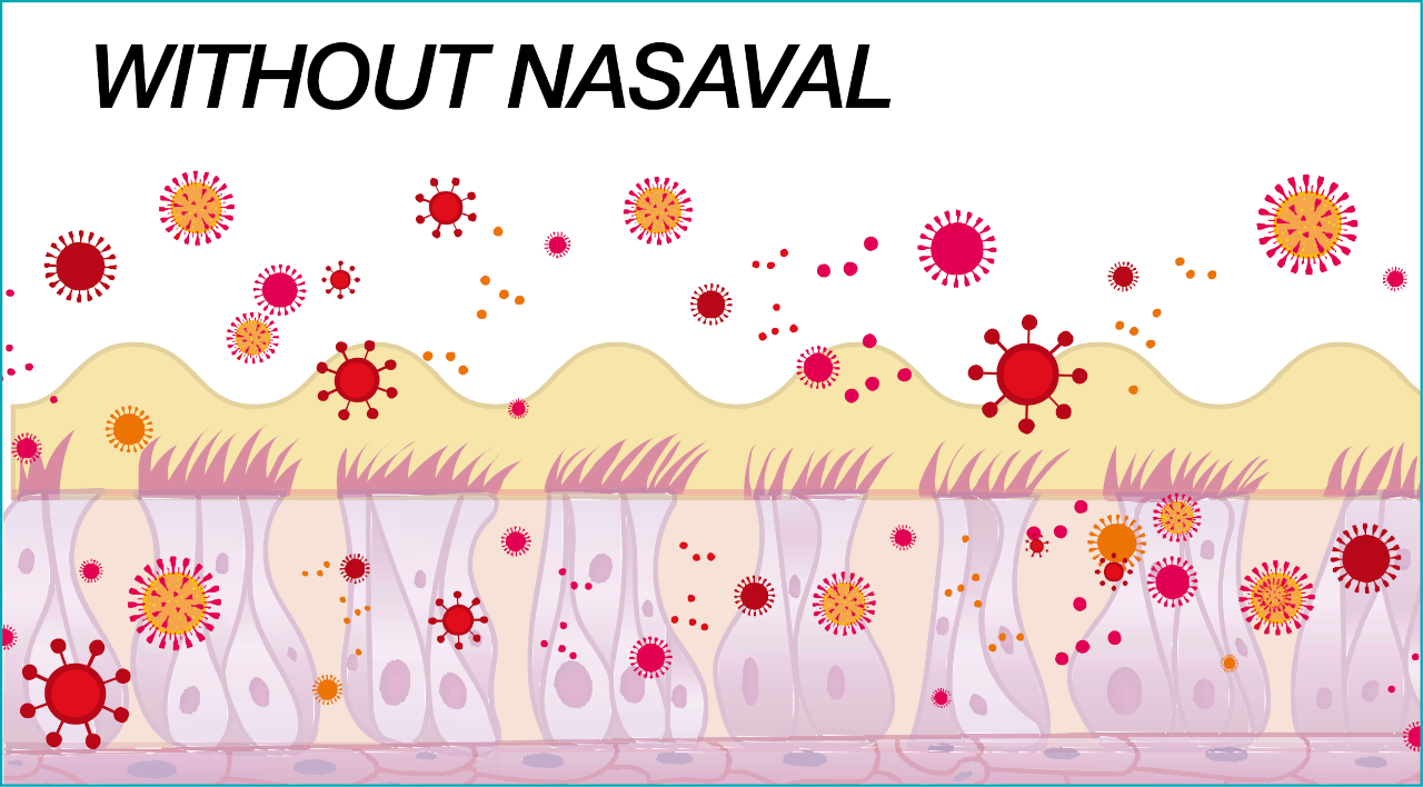 How Nasaval Works