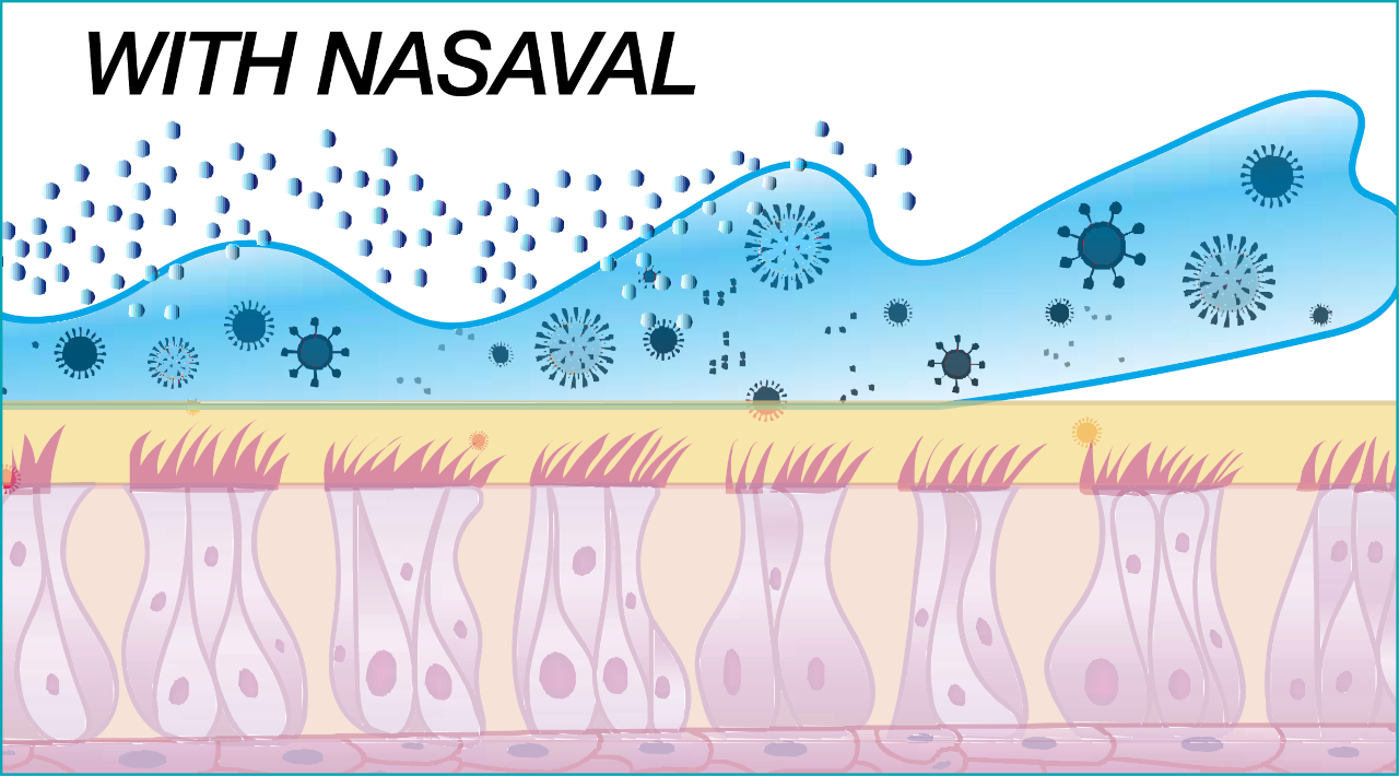How Nasaval Works